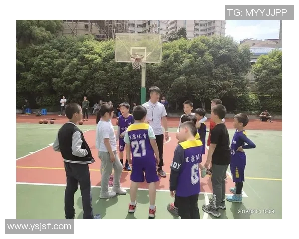 呈康体育篮球培训的课程质量与学员反馈全面分析